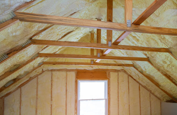 Professional Insulation Contractor in Grapeland, TX