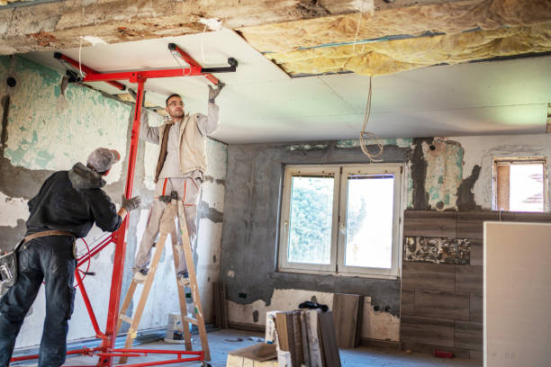 Best Spray Foam Insulation in Grapeland, TX
