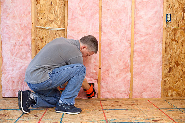 Best DIY Insulation Kits and Guidance in Grapeland, TX