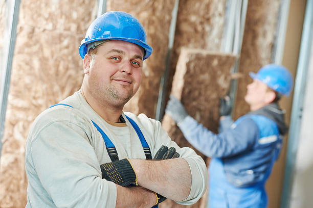 Best Insulation Maintenance and Repair in Grapeland, TX